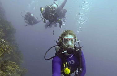 Diving in Santa Marta, Colombia