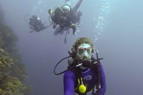 Diving in Santa Marta, Colombia