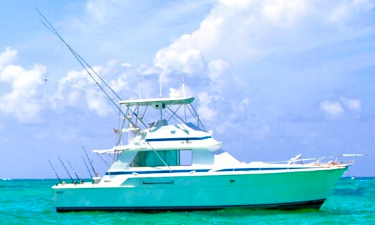Exciting Fishing Trip On 42' Bertram Sport Fisherman In Punta Cana, Dominican Republic