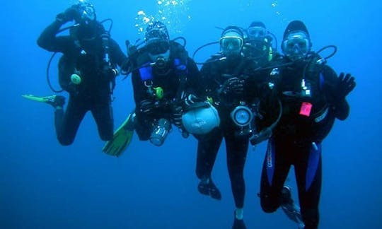 Scuba Diving and Snorkeling In Islas Galápagos