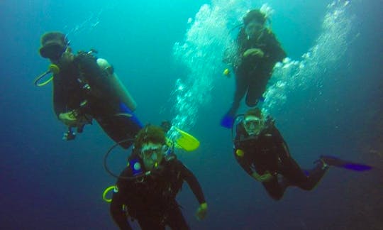 Scuba Diving and Snorkeling In Islas Galápagos