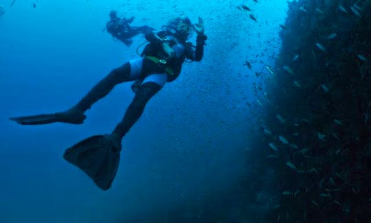 Scuba Diving and Snorkeling In Islas Galápagos