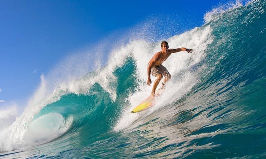 Surf Lesson and Board Rental In Las Terrenas