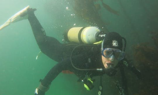 A maximum fun and safety Diving Trip In Cape Town, South Africa