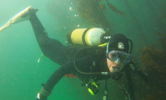 A maximum fun and safety Diving Trip In Cape Town, South Africa
