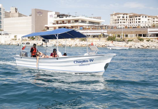 Panga confortable de 25 pieds, parfait pour les visites touristiques à Cabo San Lucas