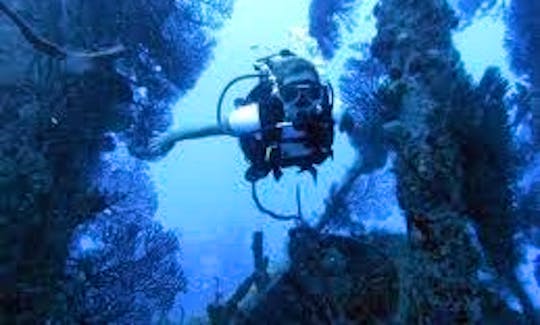 Discover Scuba Diving with PADI Professional Instructor in Holetown, Barbados