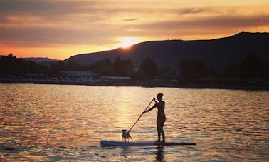 Location de paddleboard à Anatoliki Attiki, Grèce