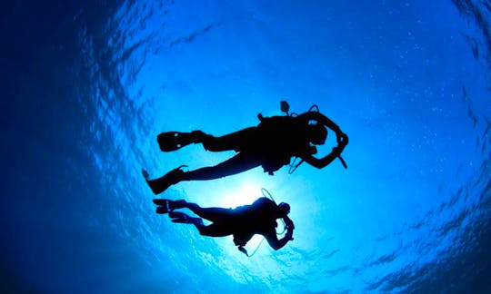 Scuba Diving Thasos & Kavala