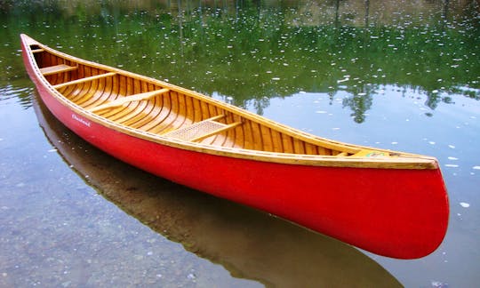 Canoe Rental in Cecina, Italy