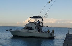 Fishing Charter on 39' Sports Fisherman Yacht in Montego Bay, Jamaica
