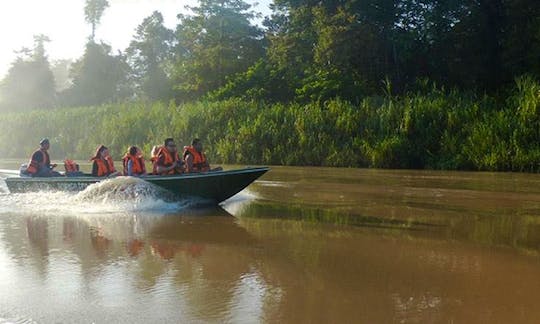 Wildlife Boat Tour for 8 Person in Kota Kinabalu, Malaysia!
