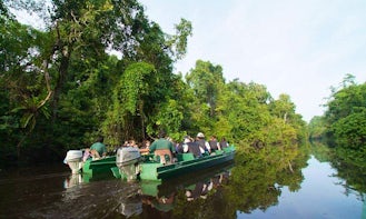 Sukau Rainforest Lodge (Raft)
