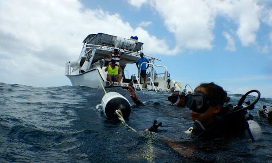 Excursions en bateau avec tuba et plongée sous-marine à Fajardo, Porto Rico