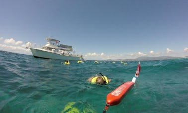 Tours de esnórquel y buceo en Fajardo, Puerto Rico