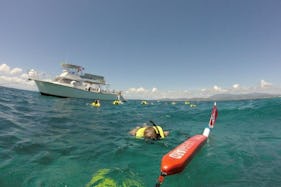 Snorkeling and Scuba Boat Tours in Fajardo, Puerto Rico