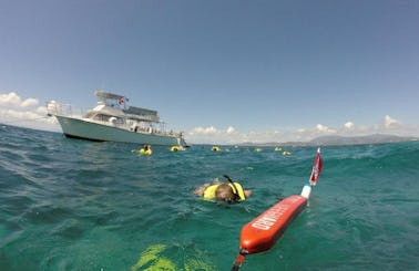 Snorkeling and Scuba Boat Tours in Fajardo, Puerto Rico