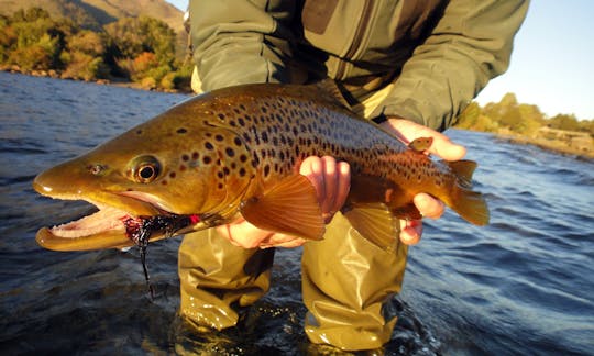 Try a Fly Fishing Tour While In San Martin de los Andes