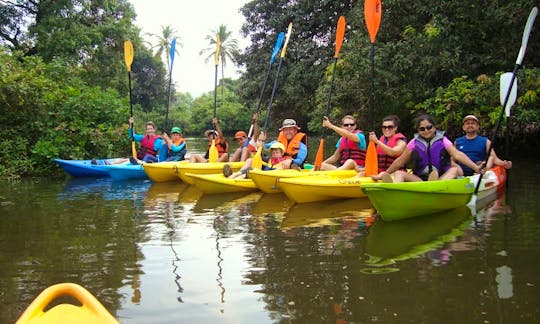 Goa (Kayaking)