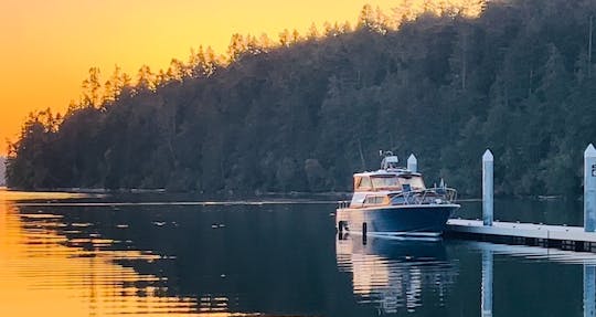 Welcome aboard Minerva – A Rare Cruise on a Classic Wooden Yacht
