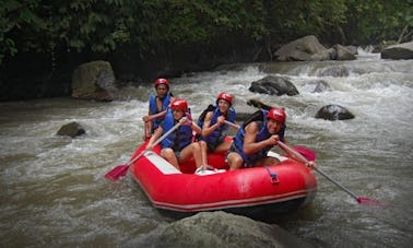 Rafting tour in Selemadeg, Bali  (Indonesia)