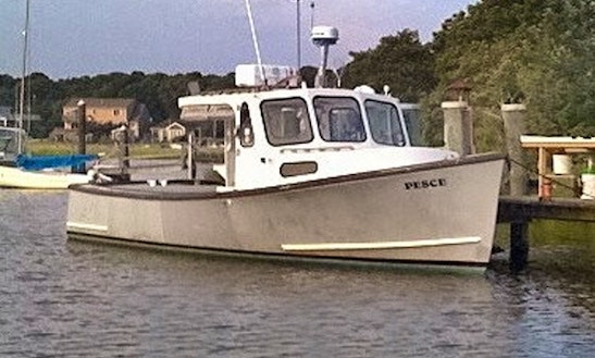Fishing Charter On 31' Atlantic Cuddy Cabin In Falmouth, Massachusett