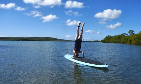 Stand Up Paddleboard Rental in Vieques, Puerto Rico