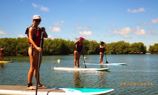 Stand Up Paddleboard Rental in Vieques, Puerto Rico