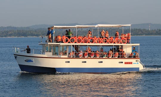 'Speed Liner' Trimaran Whale Watching Trips in Mirissa