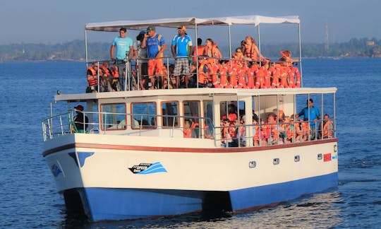 'Speed Liner' Trimaran Whale Watching Trips in Mirissa