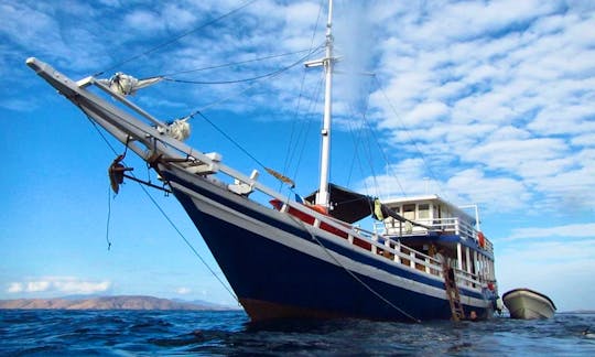 Komodo Diving aboard a 40' Dive Vessel for 12 Person