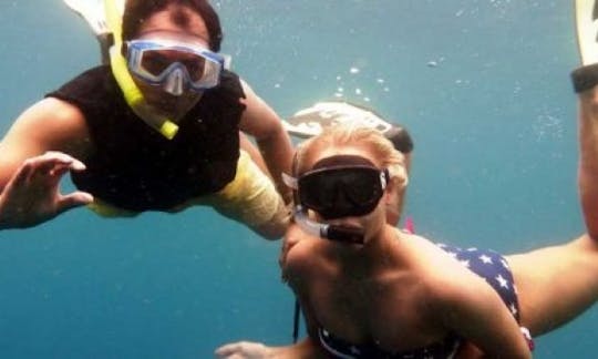 Scuba Diving