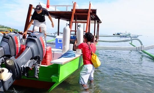 Snorkeling Trips with Froggy in Indonesia