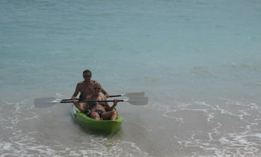 Froggy (Kayaking)