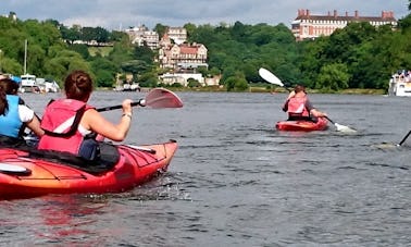 Excursion en kayak sur l'île Eel Pie