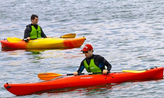 Guided Kayak Trips and Beginner Kayaking Classes in Dublin, Ireland