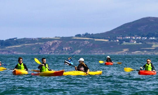 Guided Kayak Trips and Beginner Kayaking Classes in Dublin, Ireland