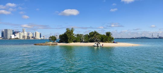 26' Bayliner Deckboat  in Miami for up to 6 people