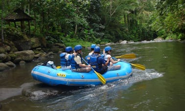 Rafting By Professional Guides in Bali