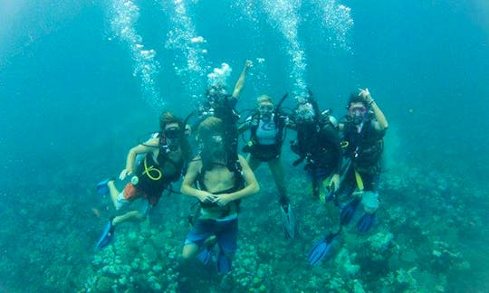 Enjoy Fun Diving in Útila, Honduras