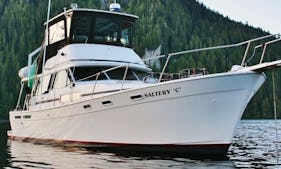 Charter 40ft "Saltery C" Bayliner Explorer Motor Yacht In Ketchikan, Alaska