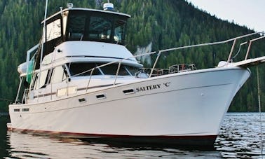 Alugue um iate a motor Bayliner Explorer “Saltery C” de 40 pés em Ketchikan, Alasca