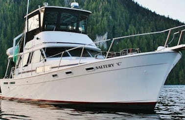 Charter 40ft "Saltery C" Bayliner Explorer Motor Yacht In Ketchikan, Alaska