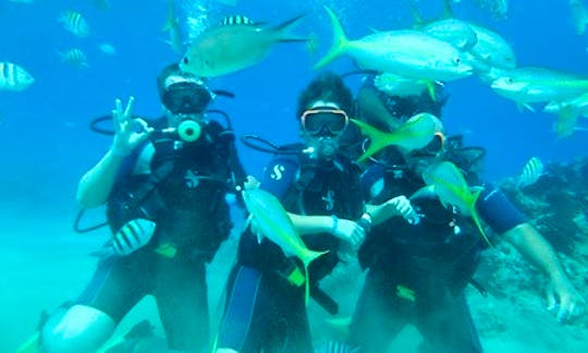 Go Scuba Diving in Thailand