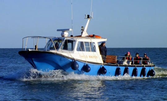 'Castle Maiden' Fishing Charter & Tours in Wicklow Town, Co. Wicklow, Ireland.