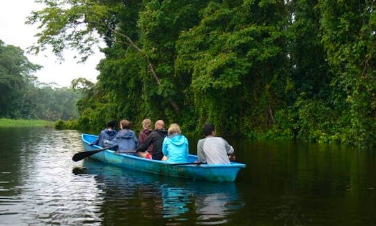 Canoe Tours In Tortuguero