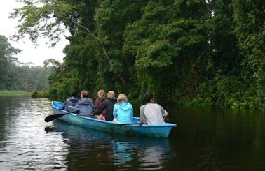 Canoe Tours In Tortuguero