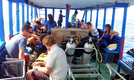 Diving In Maafushi