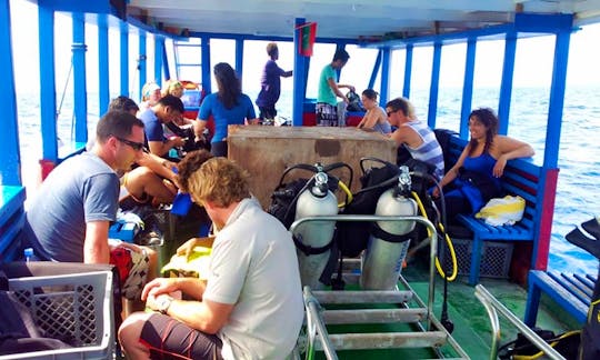 Diving In Maafushi