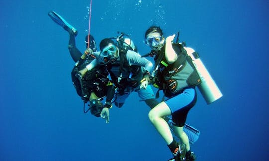 Diving In Maafushi